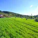 Mozaik * Sarıbelen