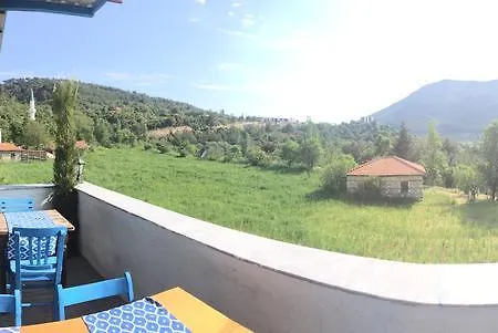 Mozaik